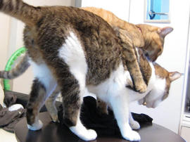 IMG02621.jpg