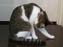 IMG02625.jpg