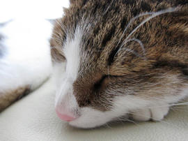IMG02628.jpg