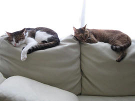 IMG02629.jpg