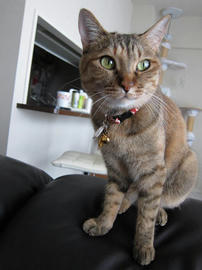 IMG02631.jpg