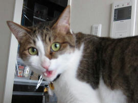 IMG02632.jpg