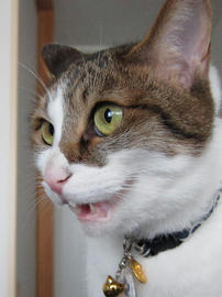 IMG02634.jpg
