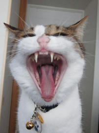IMG02635.jpg