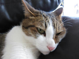 IMG02639.jpg