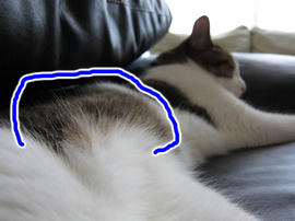 IMG02640.jpg