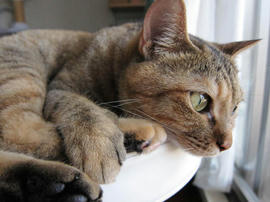 IMG02642.jpg