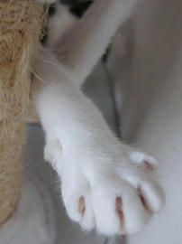 IMG02648.jpg