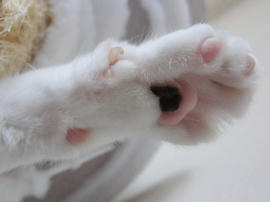 IMG02649.jpg