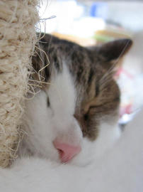 IMG02650.jpg