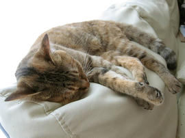 IMG02651.jpg