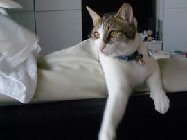 IMGP11598.jpg