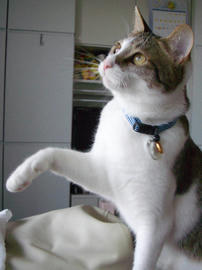 IMGP11600.jpg
