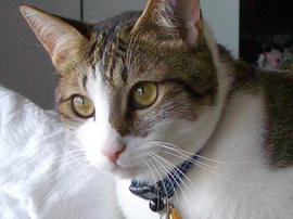 IMGP11603.jpg