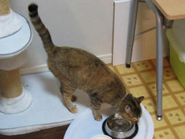 IMG02653.jpg