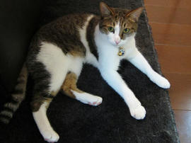 IMG02656.jpg