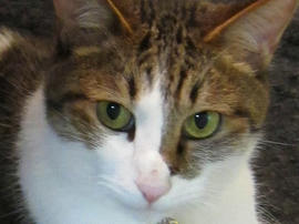 IMG02656_2.jpg