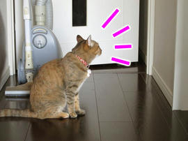 IMG02661.jpg