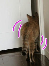 IMG02662.jpg