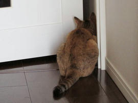 IMG02664.jpg