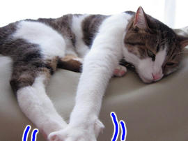 IMG02666.jpg