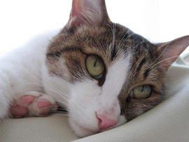 IMG02667.jpg