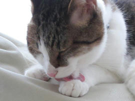 IMG02670.jpg
