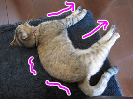 IMG02672.jpg