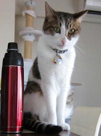 IMG02677.jpg