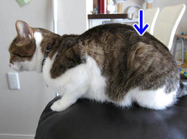 IMG02679.jpg