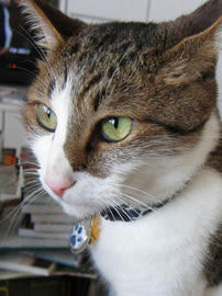 IMG02683.jpg