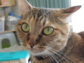 IMG02687.jpg