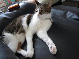 IMG02688.jpg