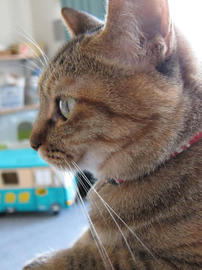 IMG02689.jpg