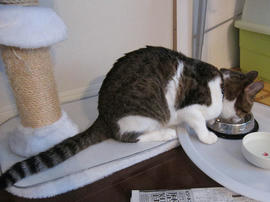 IMG02699.jpg