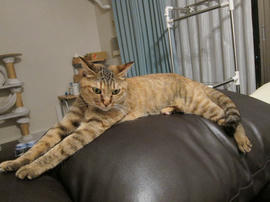 IMG02706.jpg