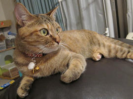 IMG02709.jpg
