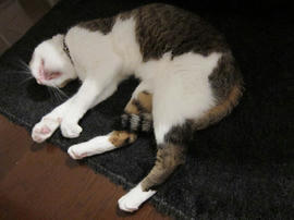 IMG02712.jpg
