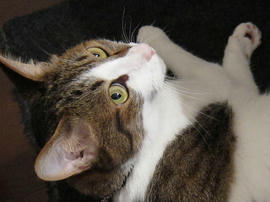 IMG02713.jpg