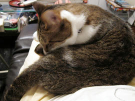 IMG02714.jpg