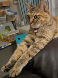 IMG02715.jpg