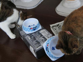 IMG02719.jpg