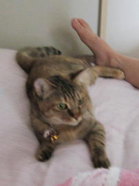 IMG02722.jpg