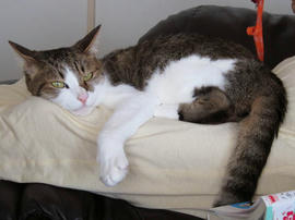 IMG02723.jpg