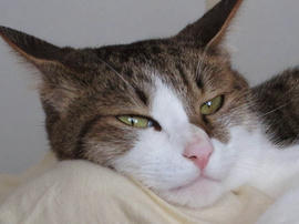 IMG02724.jpg
