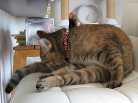 IMG02725.jpg