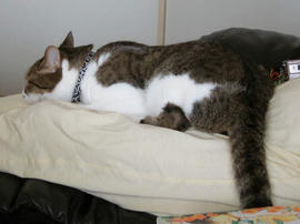IMG02728.jpg