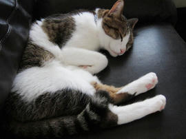 IMG02730.jpg