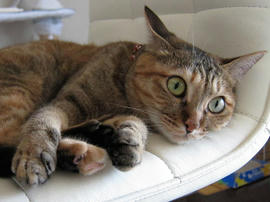 IMG02731.jpg
