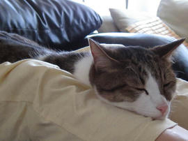 IMG02732.jpg